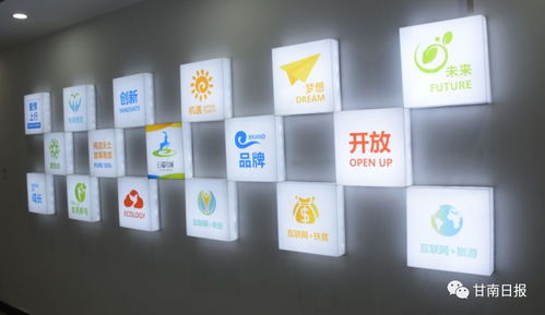 合作市電子商務公共服務中心正式啟動，賦能電商運營管理服務新篇章
